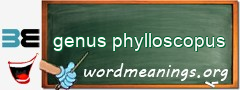 WordMeaning blackboard for genus phylloscopus